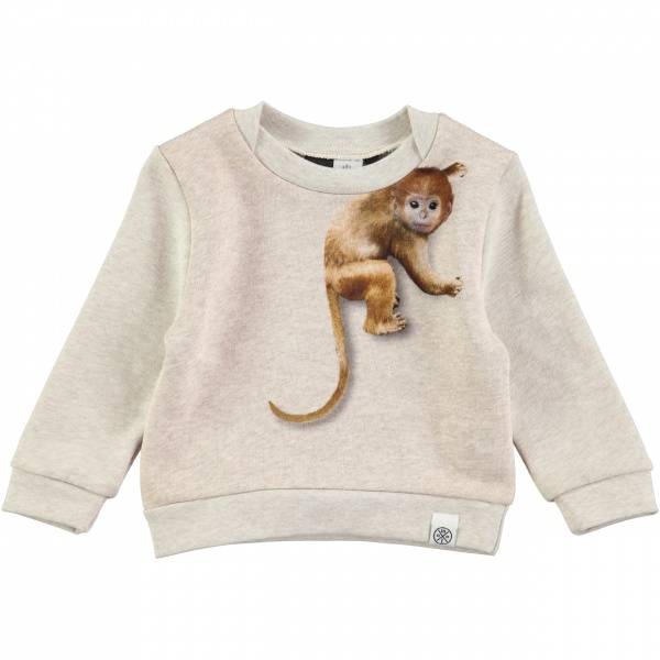 Molo, Dude climbing monkeys sweatshirt