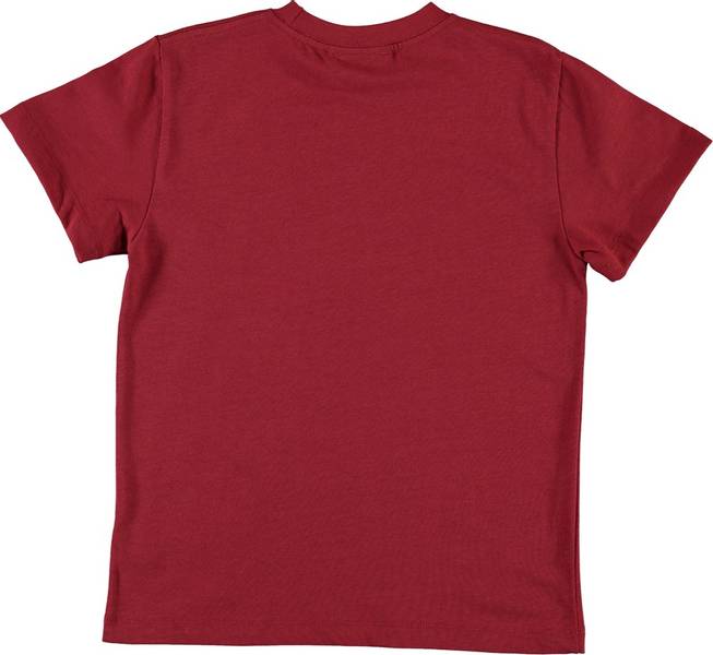 Molo, Roxo pixel skater tskjorte