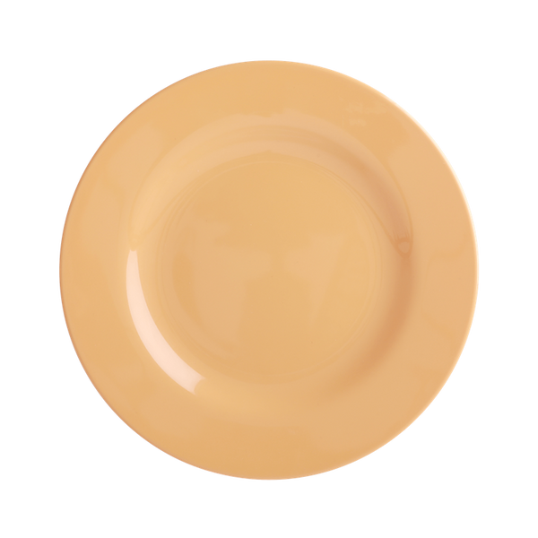 Rice, lunchtallerken, Lets summer apricot