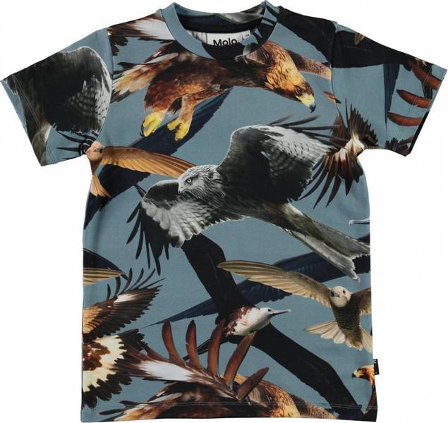 Molo, Ralphie birds tskjorte