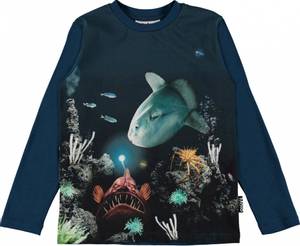 Hovedbilde Molo, Reif fishy business ...