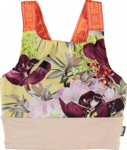 Hovedbilde Molo, Oliva orchid sportstopp