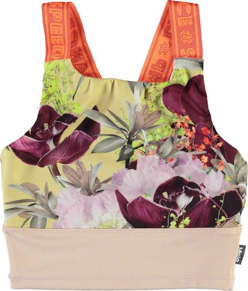 Molo, Oliva orchid sportstopp