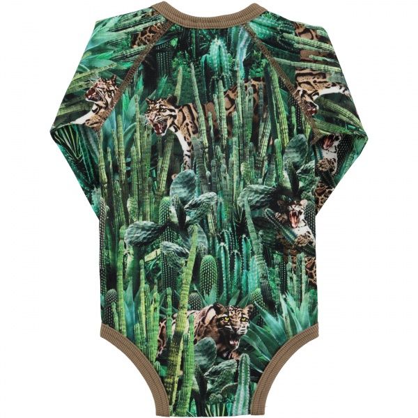 Molo, Field cactus bite body
