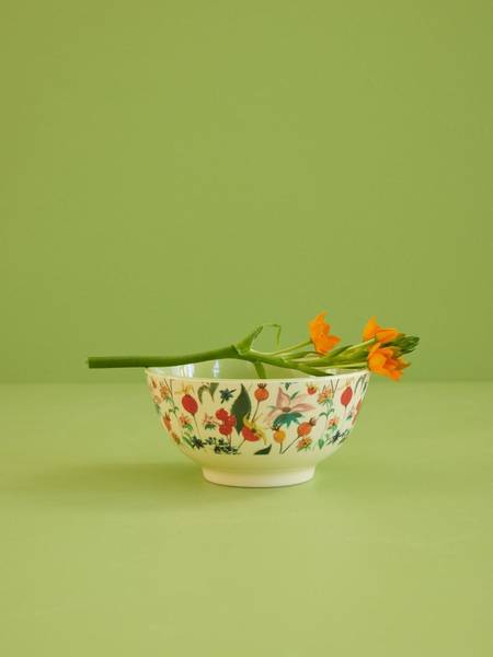 Rice,  bolle winter rosebuds